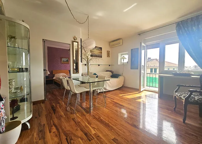 Purple * 斯普利特